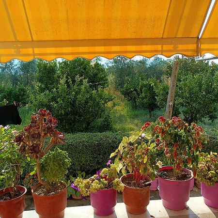 Guest House Fetie Берат Екстериор снимка