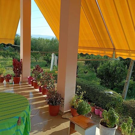 Guest House Fetie Берат Екстериор снимка
