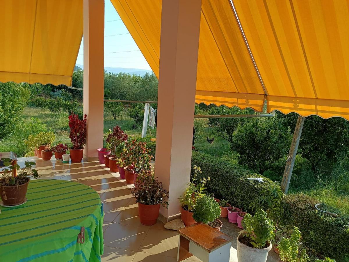Guest House Fetie Берат Екстериор снимка